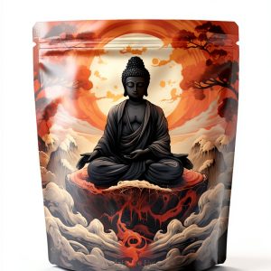 Theravada Buddhism Kindle Book by Grapevine-0