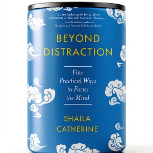 Theravada Buddhism Kindle Book Wisdom Publications-0