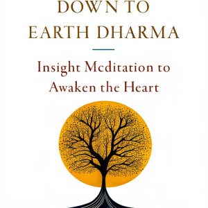 Theravada Buddhism eBook Shambhala 299 pages-0