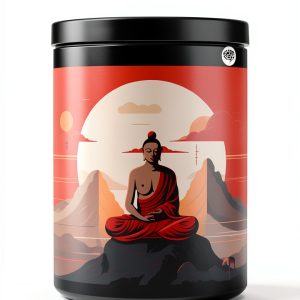 Theravada Buddhism Kindle Store Book Grapevine-0